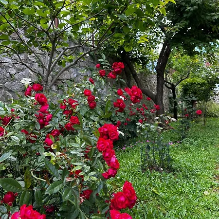 2-bedroom Illario - Heart Of Tuscany - Free Parking * Pomarance